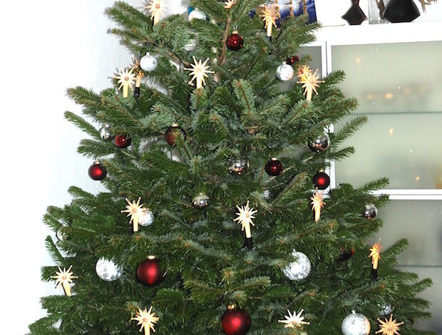 Weihnachtsbaum-Weihnachtsbaumsammlung