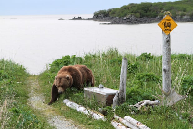 Ab 18 Uhr erzählt Naturfotograf Guido Kettner von seinen Reisen durch Alaska. Aus dem größten Bundesstaat der USA hat er beeindruckende Fotos mitgebracht, die zurzeit im Museum Wilnsdorf ausgestellt werden (Foto: Guido Kettner).