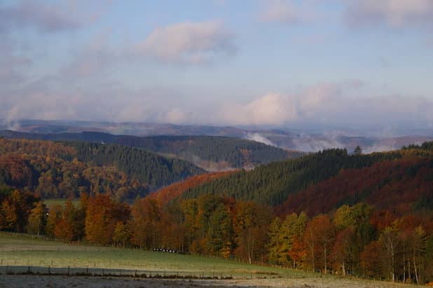 Herbststimmung (Foto: Antonius Klein)