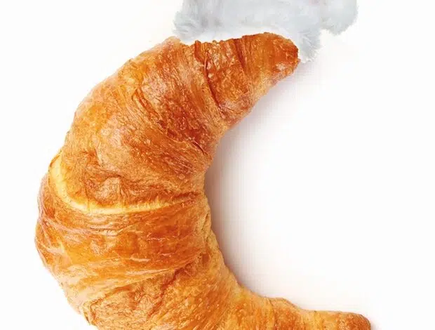 Olsberg - Vorweihnachtliches Frühstück für den guten Zweck