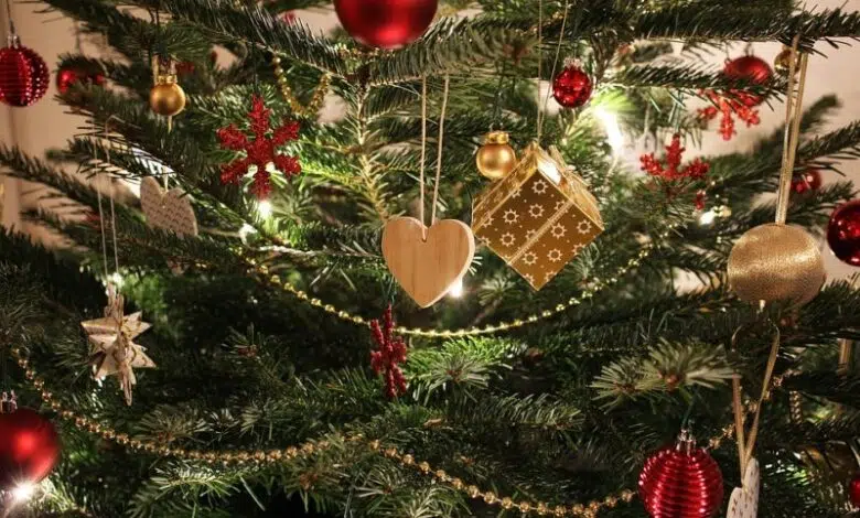Abfuhr der Weihnachtsbäume in Menden