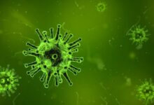 2020-01-27-Coronavirus-Coronavirus-Womelsdorf-Maßnahmen--Schulsprecherin-Corona-Quarantäne-Infektionen