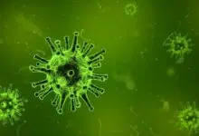 2020-01-27-Coronavirus-Coronavirus-Womelsdorf-Maßnahmen--Schulsprecherin-Corona-Quarantäne-Infektionen