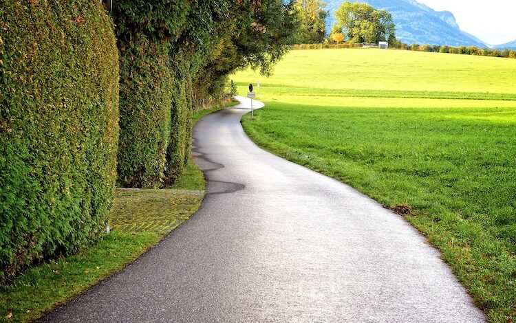 2020-02-17-Schonzeit