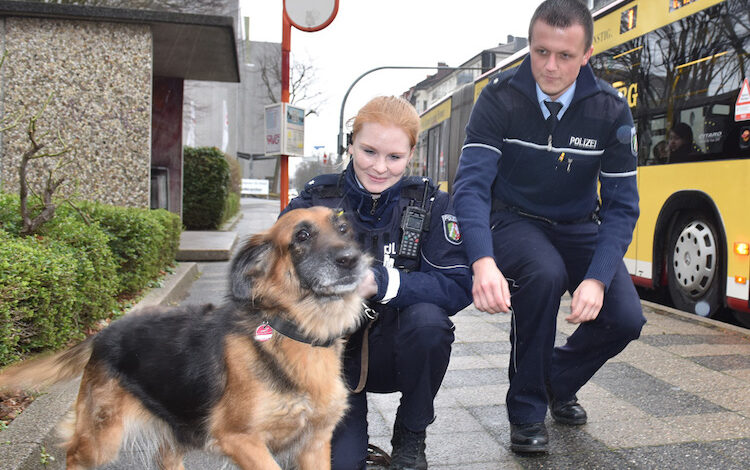 2020-02-18-Schwarzfahrer