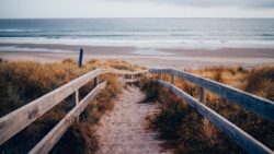 Der Vejers Strand ist auch mit dem Auto gut zu erreichen. Der Vejers Strand ist auch mit dem Auto gut zu erreichen.