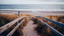 Der Vejers Strand ist auch mit dem Auto gut zu erreichen. 