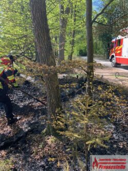 2020-04-23-Waldboden-1