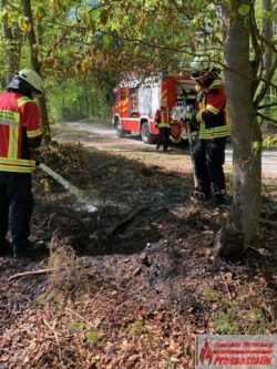 2020-04-23-Waldboden-2