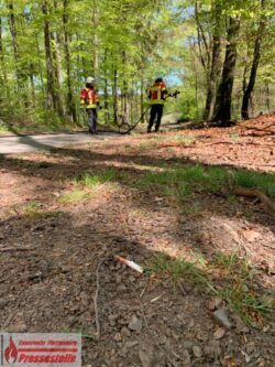 2020-04-23-Waldboden-3