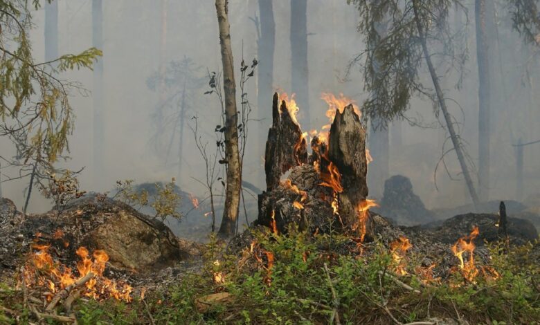 2020-04-27-Brand