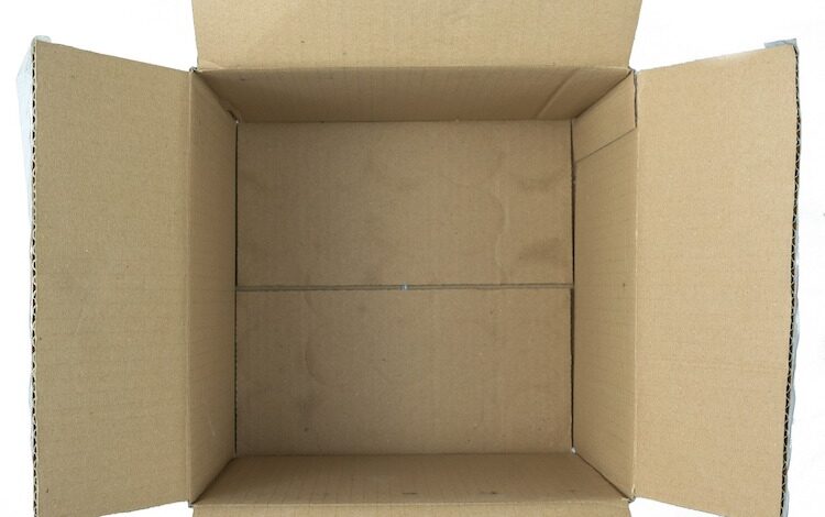 2020-05-28-Paketzusteller