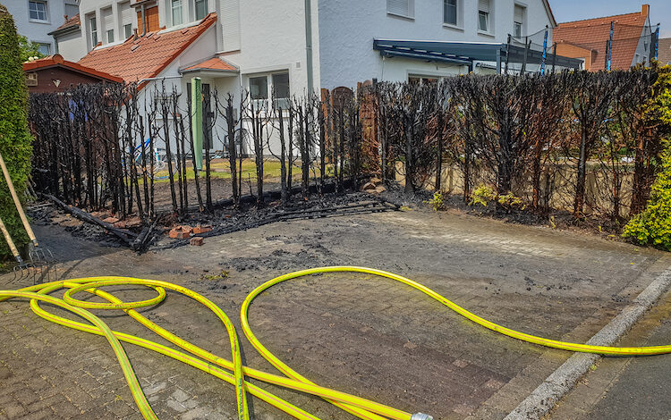 2020-06-04-Heckenbrand