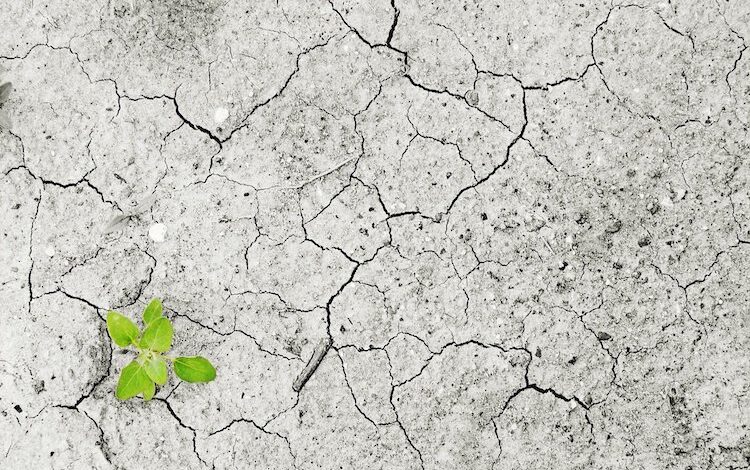 2020-06-22-Klimadialog