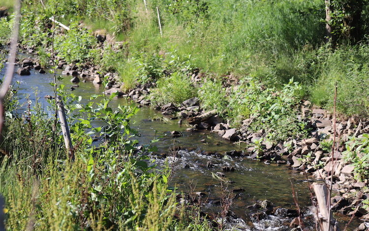2020-06-23-Wasserbehoerde