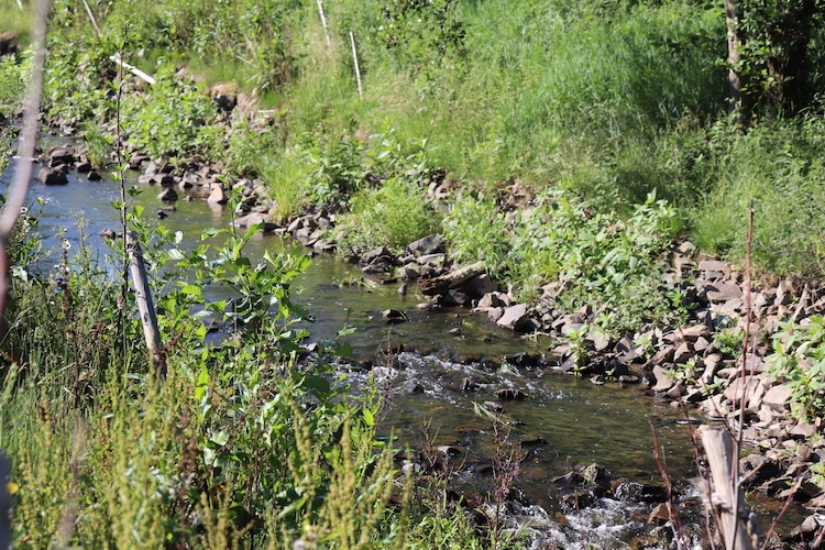 2020-06-23-Wasserbehoerde