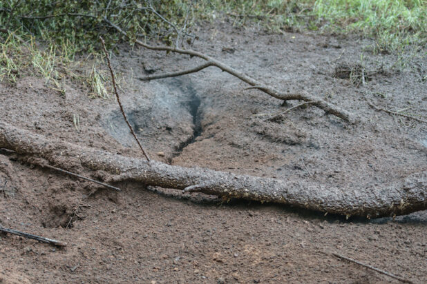 2020-06-29-Bodenfeuer-5