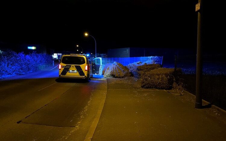 2020-08-05-Strohballen