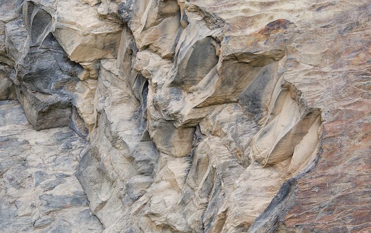 2020-12-09-Fossilien