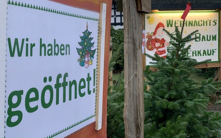 2020-12-14-Weihnachtsbaum-2