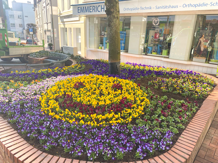 Rund 8000 Blumen für die Innenstadt Lüdenscheid Nachrichten
