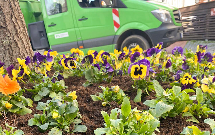 2021-03-25-Blumen