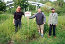 2021-08-06-JAEB-Obstwiese