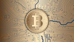 Wer bisher keine Berührungspunkte mit Bitcoin oder anderen Kryptowährungen hatte, tut sich meist schwer damit. Wer bisher keine Berührungspunkte mit Bitcoin oder anderen Kryptowährungen hatte, tut sich meist schwer damit.
