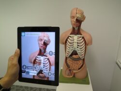 Was steckt hinter dem Begriff Augmented Reality und wie lässt er sich gewinnbringend einsetzen? Was steckt hinter dem Begriff Augmented Reality und wie lässt er sich gewinnbringend einsetzen?