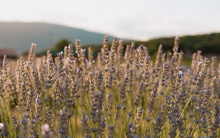 2024-04-10-Wanderwege