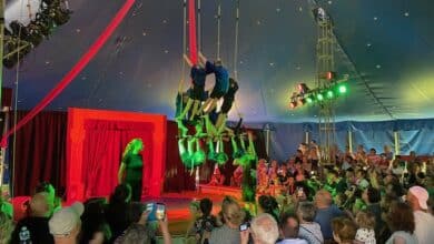 Eine aufregende Reise in die Welt des Zirkus ZappZarap erwartet Kinder und. Jugendliche beim Mitmachzirkus in den Sommerferien.