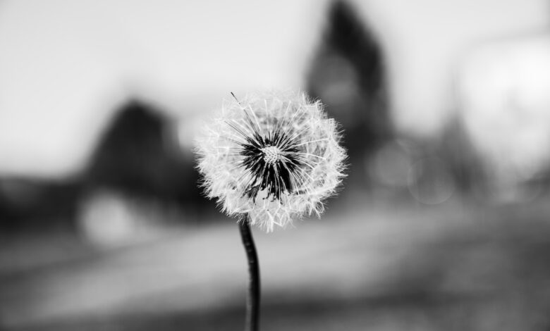 Emotionale Resilienz